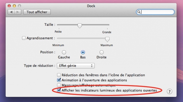 Option du Dock de Mac OS X Lion