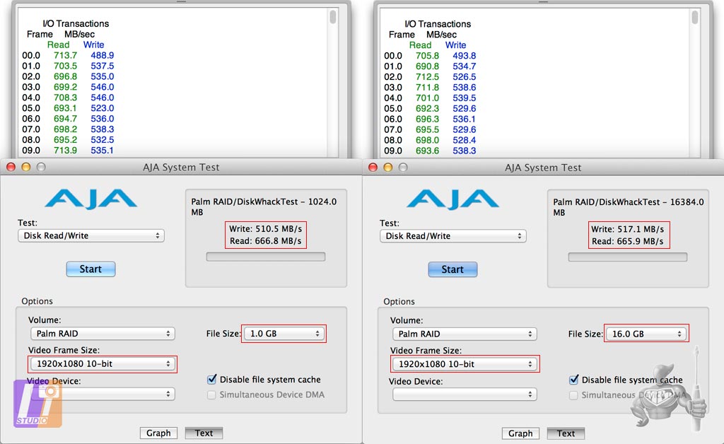 AJA System Test Palm RAID (simulation Full HD)