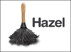 Logo HAZEL